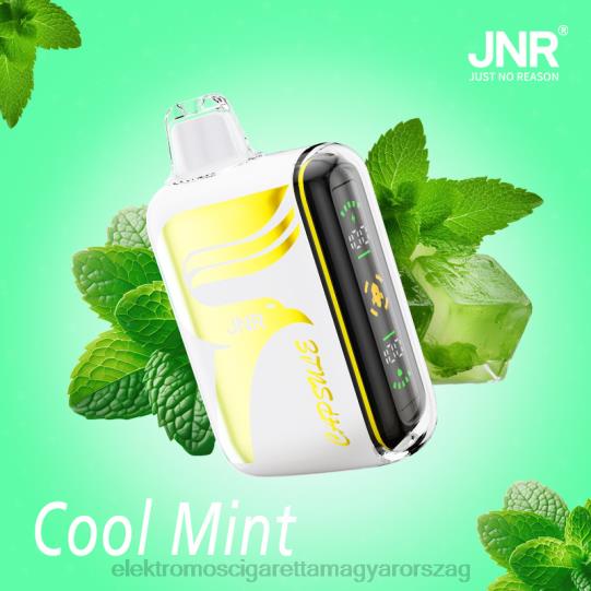 hűvös menta LPPNH604 Vape Nagykereskedés - JNR CAPSULE