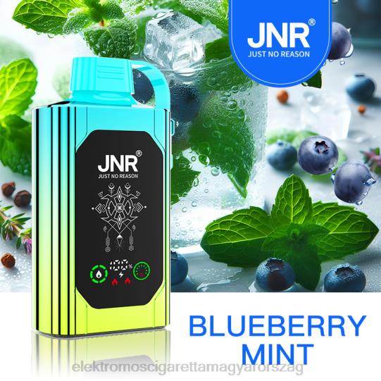 áfonyás menta LPPNH618 Elektromos Cigaretta Bolt - JNR SHISHA BOX